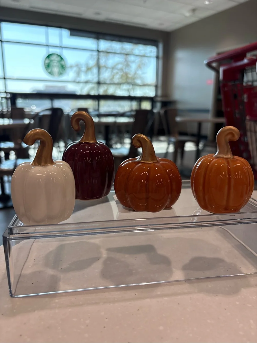 Target Ceramic Pumpkin Set in Orange, White, and Burgundy with Gold Stems